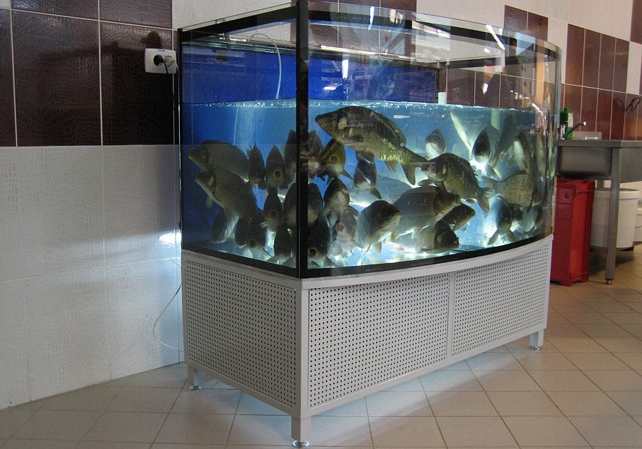 Аквариум витрина для продажи живой рыбы